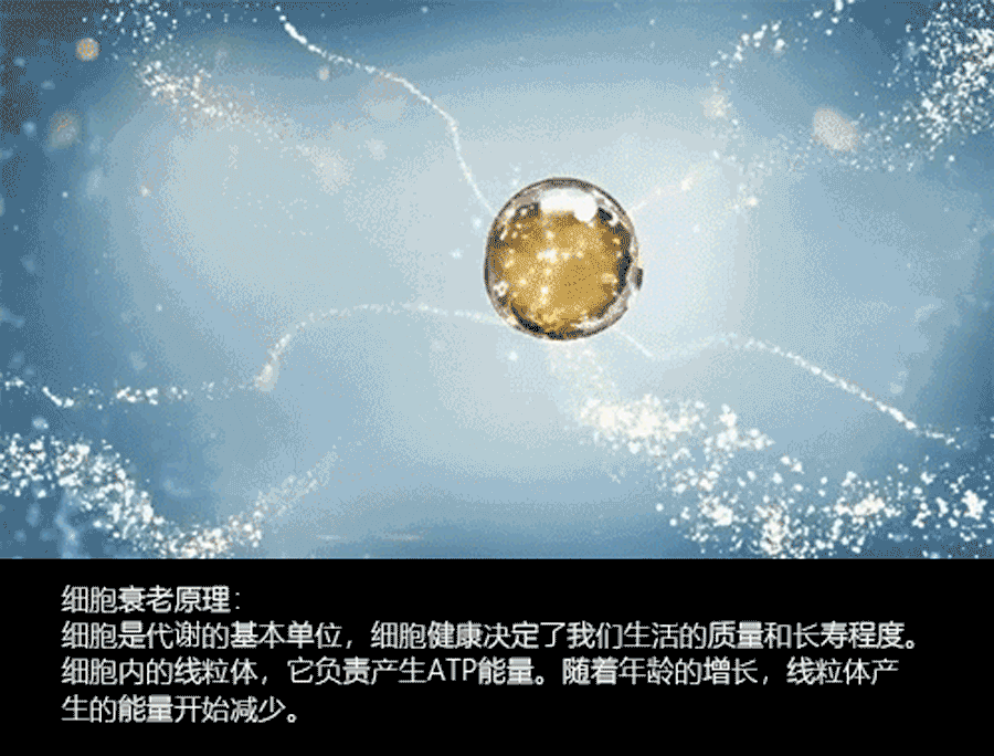 逆转时光，重塑青春之美丨NAD+银钻微雕紧致系列