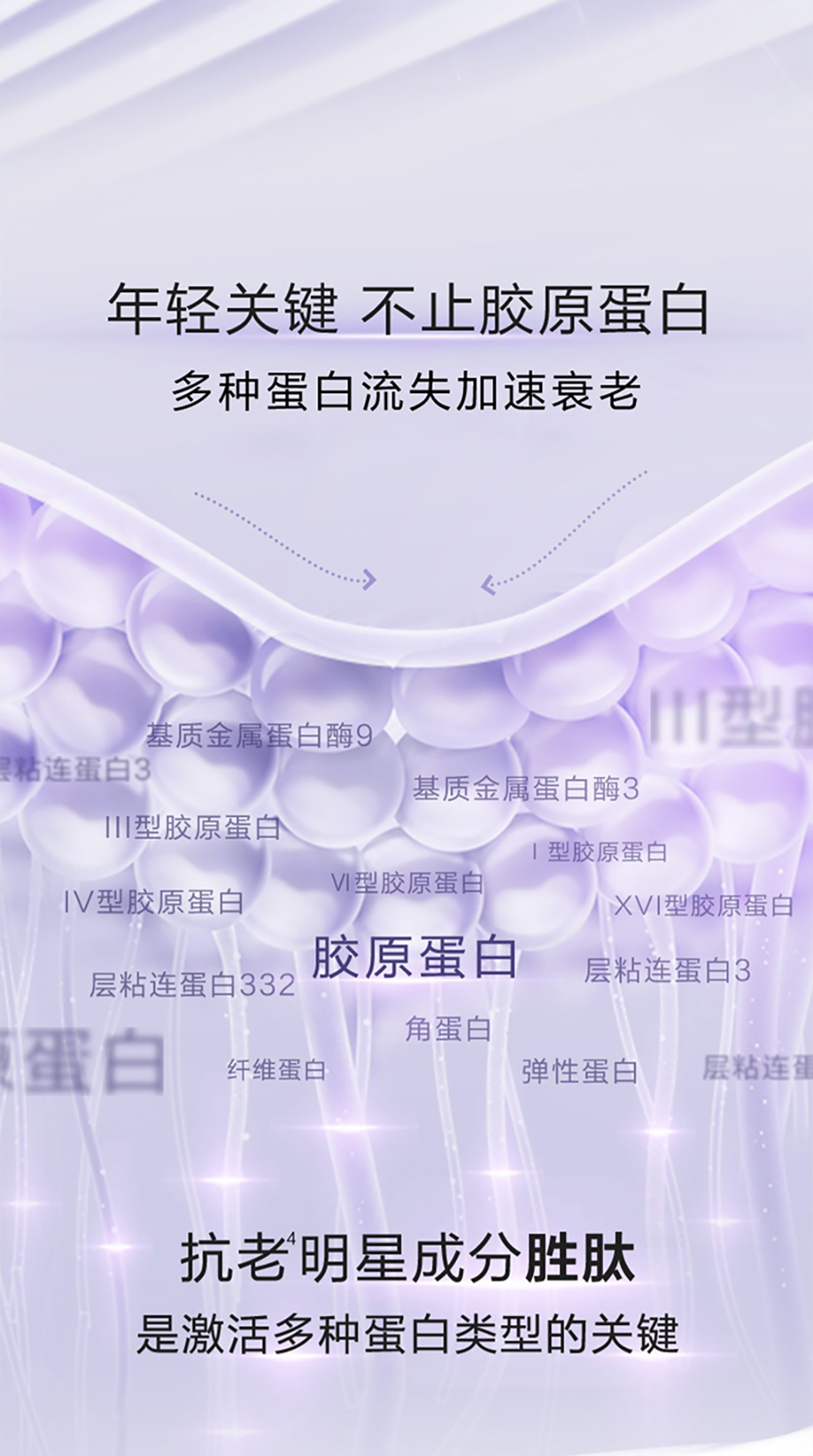 详情页-1_02.jpg