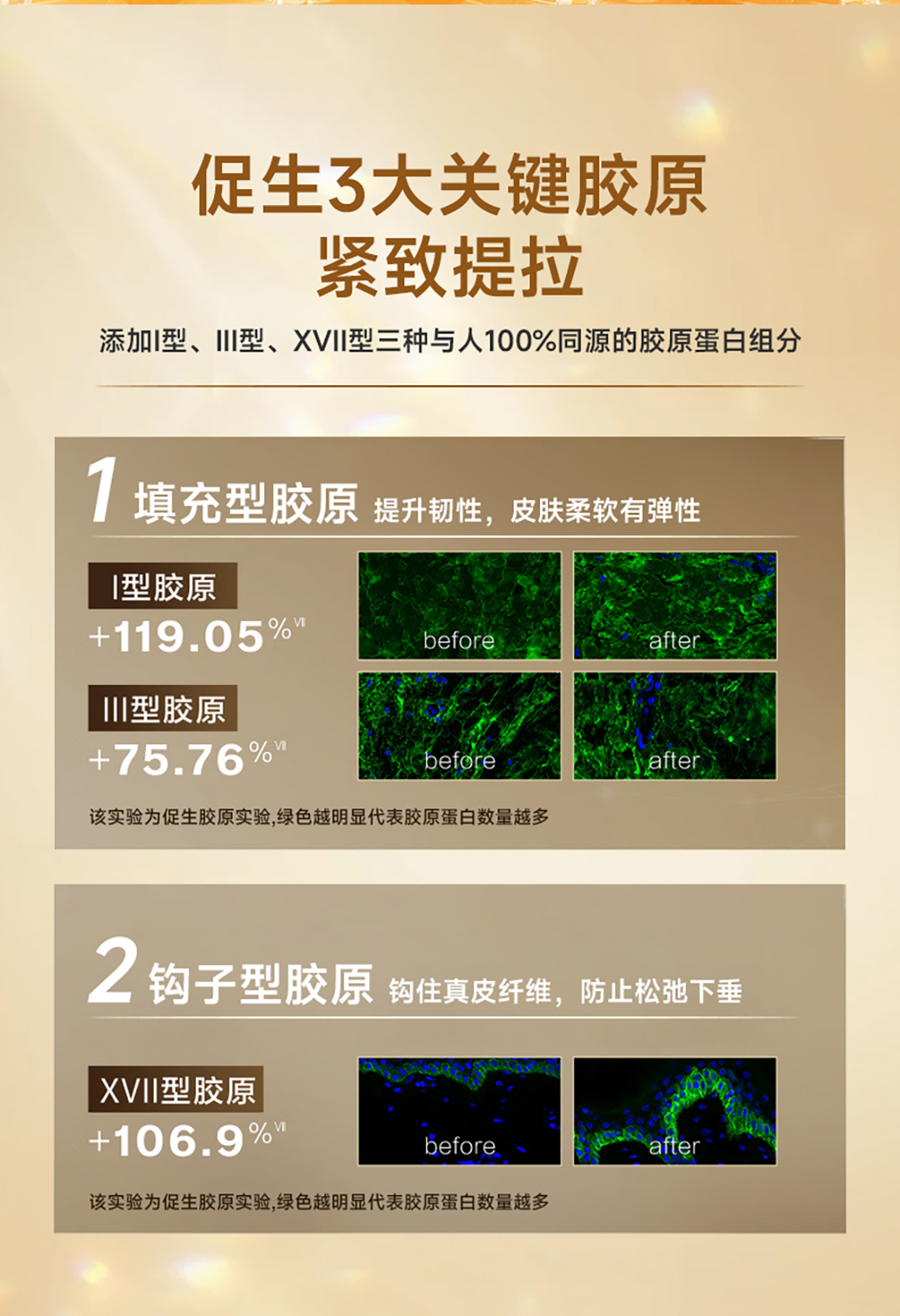 胶原蛋白面霜详情_05.jpg